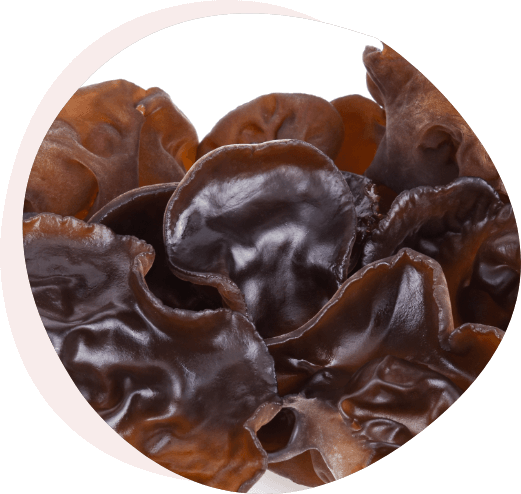 今、きくらげの栄養成分が注目されています！！