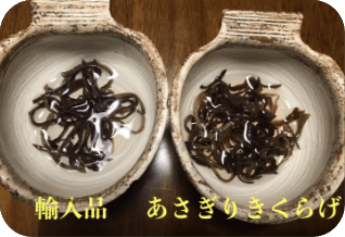 美味しくて安心・安全なきくらげを届けたい