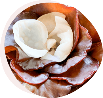 白と黒 手土産パック