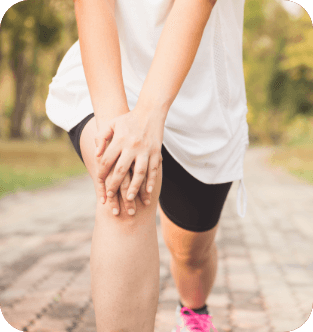 腸トラブル解消に！ きくらげは食物繊維たっぷり！